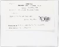 Image Associated With the Occurrence