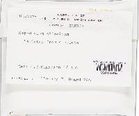 Image Associated With the Occurrence