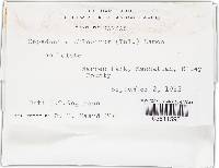 Image Associated With the Occurrence