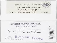 Image Associated With the Occurrence