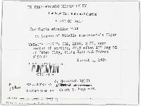 Image Associated With the Occurrence