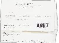 Image Associated With the Occurrence