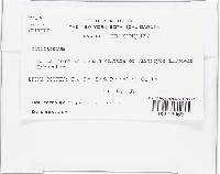 Image Associated With the Occurrence