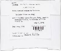 Trichothecium roseum image