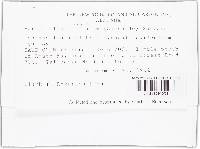 Image Associated With the Occurrence