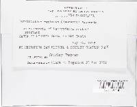 Image Associated With the Occurrence