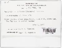 Image Associated With the Occurrence