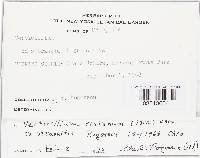 Image Associated With the Occurrence