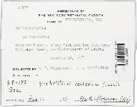 Image Associated With the Occurrence