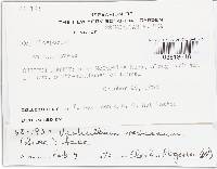 Image Associated With the Occurrence