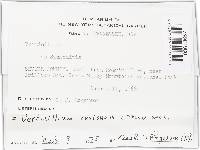 Image Associated With the Occurrence