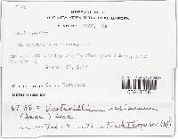 Image Associated With the Occurrence