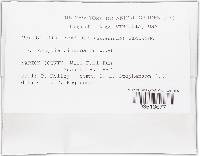 Image Associated With the Occurrence