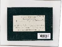 Image Associated With the Occurrence