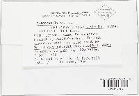 Image Associated With the Occurrence