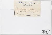 Image Associated With the Occurrence