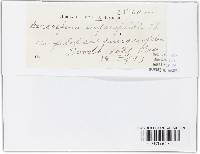 Image Associated With the Occurrence