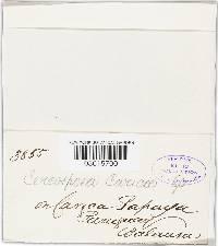 Image Associated With the Occurrence