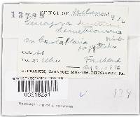 Thumbnail image of current specimen