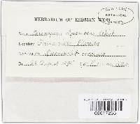 Image Associated With the Occurrence