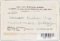 Thumbnail image of current specimen