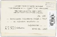 Thumbnail image of current specimen