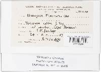 Image Associated With the Occurrence