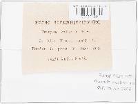 Image Associated With the Occurrence