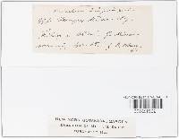 Image Associated With the Occurrence