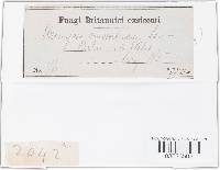 Image Associated With the Occurrence