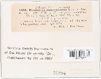 Image Associated With the Occurrence