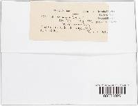 Image Associated With the Occurrence