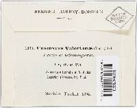 Image Associated With the Occurrence