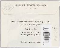 Image Associated With the Occurrence