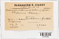 Image Associated With the Occurrence