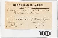 Image Associated With the Occurrence