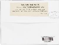 Image Associated With the Occurrence