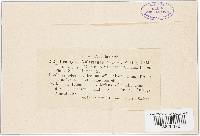 Image Associated With the Occurrence