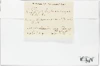 Septoria caryae image