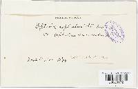 Image Associated With the Occurrence