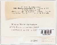 Image Associated With the Occurrence