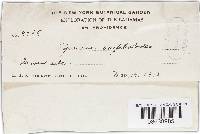 Image Associated With the Occurrence