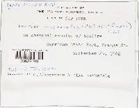 Image Associated With the Occurrence