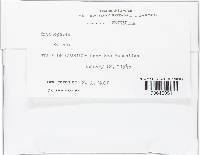 Image Associated With the Occurrence