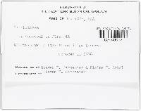 Image Associated With the Occurrence