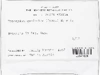 Image Associated With the Occurrence