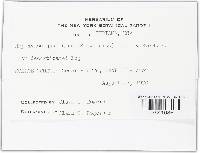 Image Associated With the Occurrence