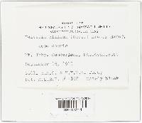 Image Associated With the Occurrence