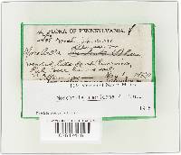 Image Associated With the Occurrence