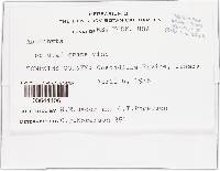 Image Associated With the Occurrence